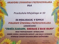 certyfikat-4