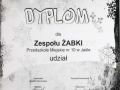 Dyplom 010
