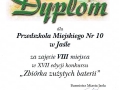 Dyplom 043