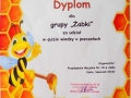 Dyplom 061