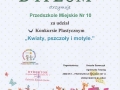 Dyplom_109