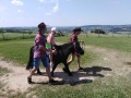 IMG_20190612_144241
