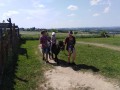 IMG_20190612_144348