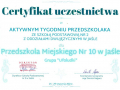 Dyplom_224